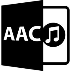 Acc文件格式符号