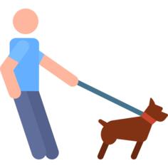 Walking the dog
