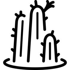 cactus