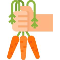 Organic food