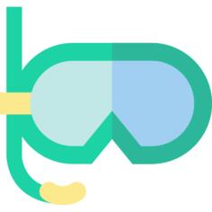 Goggles