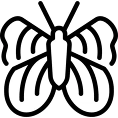 被绘的夫人蝴蝶