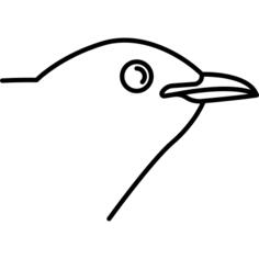 鸟