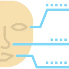 Biometric identification