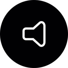 Speaker volume Button