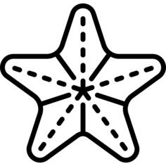 海星