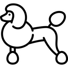 贵宾犬