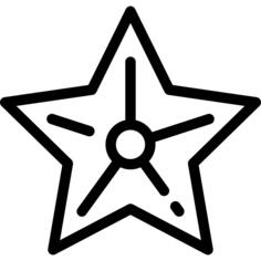 海星