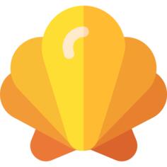 Seashell