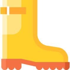 Footwear