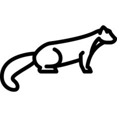 Marten