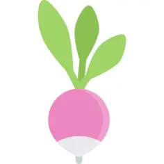 Radish