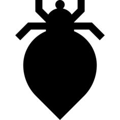 Louse