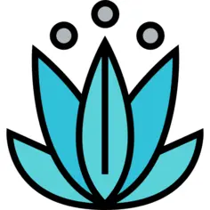 莲花