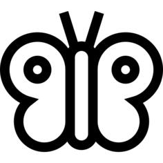 蝴蝶
