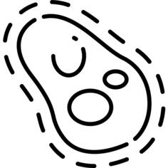 病毒