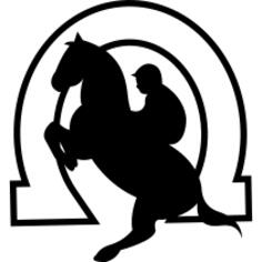 Jumping horse with jockey in a horseshoe
