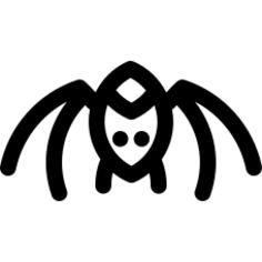 spider