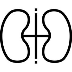 Kidney