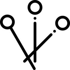 Pin
