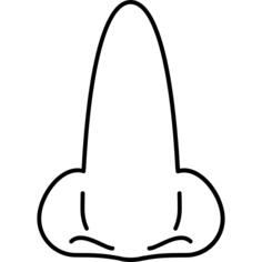 Nose