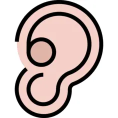 Ear