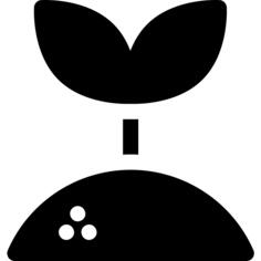 Sprout