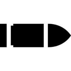 Bullet