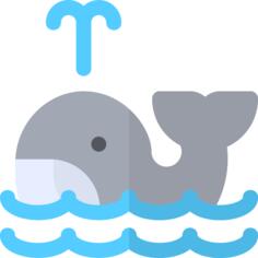 Whale