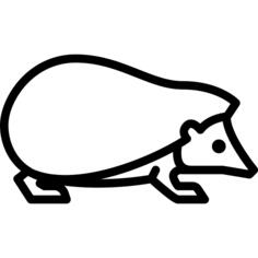 猬