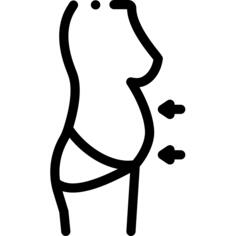 Belly