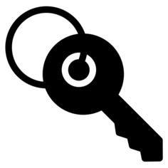 Key ring