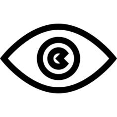 Eye