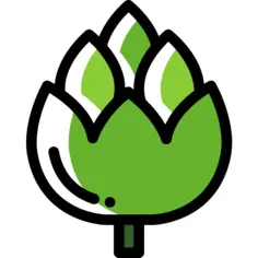 Artichoke