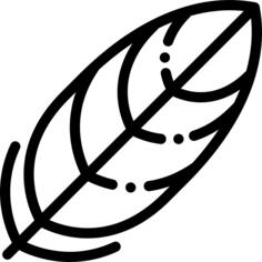 羽毛