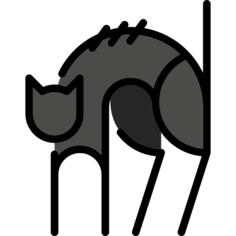 黑猫