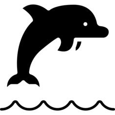 海豚