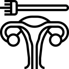 子宫