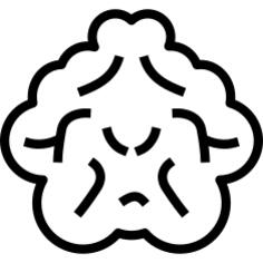 生物