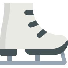Ice skate