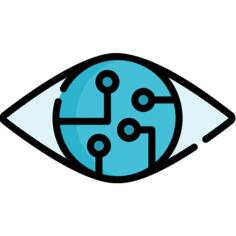 Eye