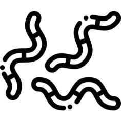 虫