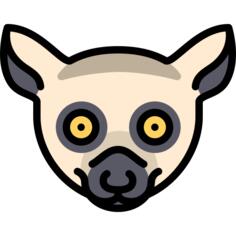 狐猴