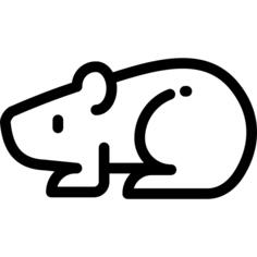 Hamster