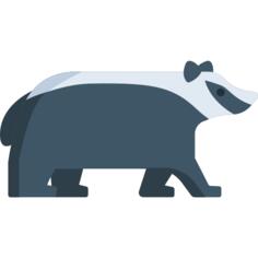 Badger