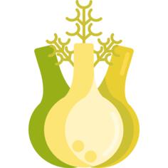 Fennel