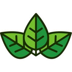 Leaf