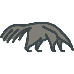 Anteater