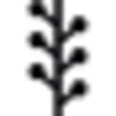 Tree graphic organizer