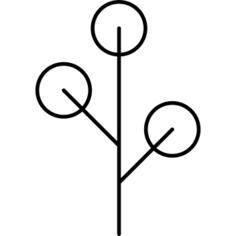 Plant variant with circular leaves